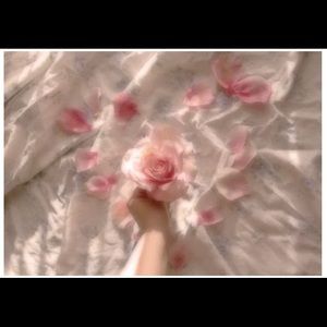 Meet your Posher, Summer